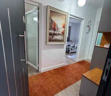 Tepelene Apartment | Newly renovated 1 bedroom Flat in Tepelenë