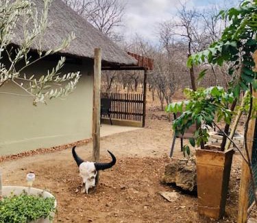 Hoedspruit Ski Chalet | NIANI HYENA chalet