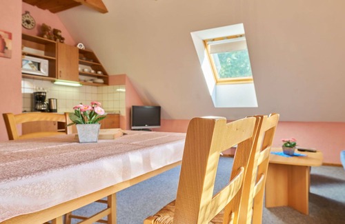 Starkov Villa | Nice apartment in villa for 4 guests with pool, WIFI, TV, patio and pets allowed