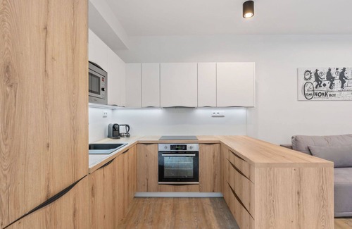 Janov nad Nisou Apartment | Nice apartment for 4 guests with WIFI, TV and terrace