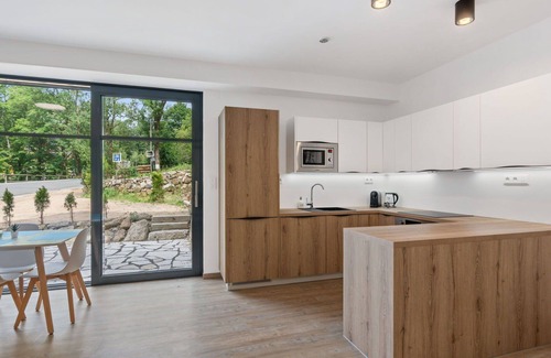 Janov nad Nisou Apartment | Nice apartment for 4 guests with WIFI, TV and terrace