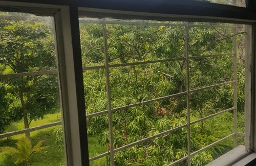 Escazu Apartment | NICE BEAUTIFUL INDEPENDENT APARTMENT IN ESCAZU