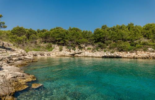 Cove Basina (Jelsa) Villa | Nid Cache