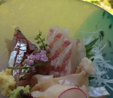 Uozu Hotel | Niemonya