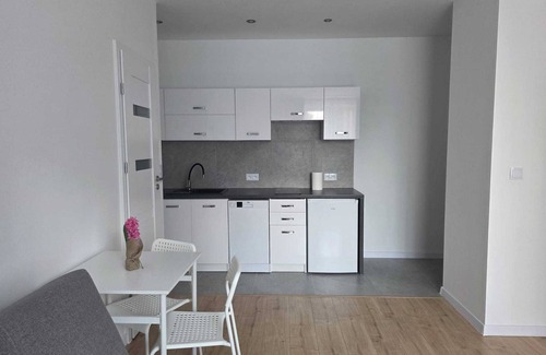 Krasnik Apartment | Niepodległości Park View Studio