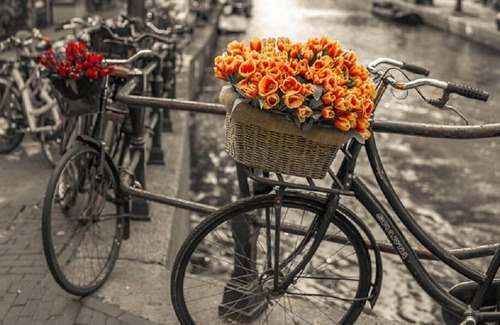 Gemert Apartment | NIEUWMARKT, DAM SQR, FLOWER MARKET-THE PLACE TO BE