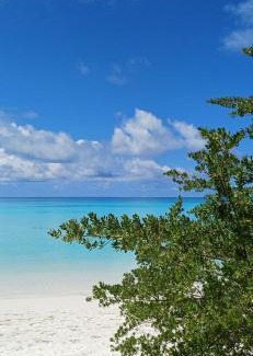 Dhigurah Bed & Breakfast | Nikabliss Dhigurah