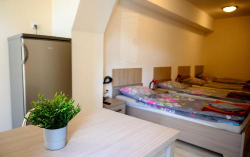 Swidnica House | Noclegi GALESZ