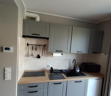 Zator House | Noclegi u Edyty