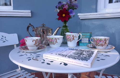 Llanwrtyd Wells House | Northampton House
