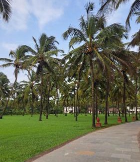 Cavelossim Resort | Novotel Goa Dona Sylvia Resort