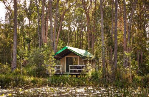 Arrawarra Resort | NRMA Darlington Beach Holiday Resort