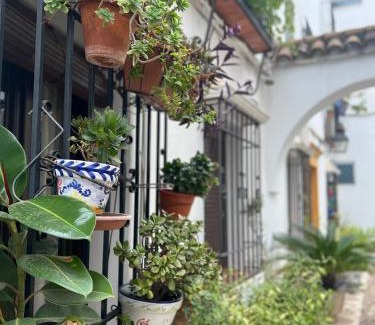 La Catedral Apartment | Nueva Córdoba Judería