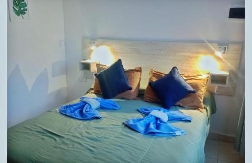 Parana Apartment | Nuez de la Isla "Tatú Apart" CENTRO a 6 cuadras! Confortable y en Planta Baja