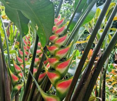 Taravao Boat Rental | Nuit insolite sur voilier avec vue mer