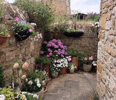 Abbotsbury House | Number Five