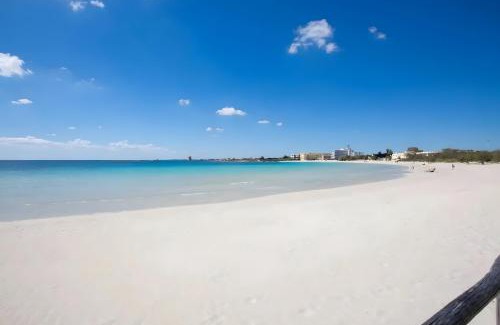 Veglie House | Nuvò-Lux e Spa