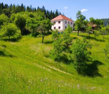 Zlatibor House | Oaza mira Zlatarsko jezero