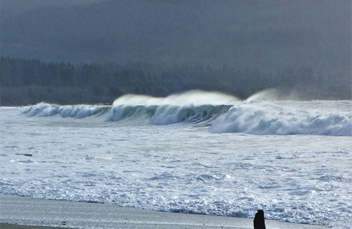 Port Renfrew Cottage | Ocean front cottage overlooking the bay of Port San Juan