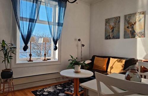 Alesund Apartment | Ocean View, Central, Rustic