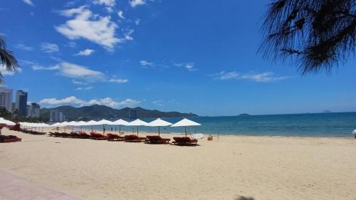 Vinh Phuoc Apartment | Oceanus MT Vien Trieu Thai Ha Hotel & Apartment