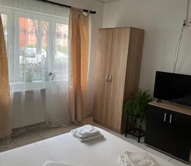 Emanoil Gojdu Apartment | Octav Suite