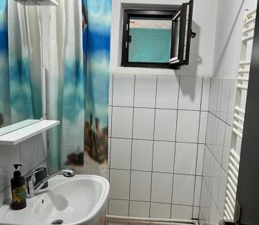 Emanoil Gojdu Apartment | Octav Suite