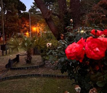 Costa del Este House | OKIN 6 La Emperatriz