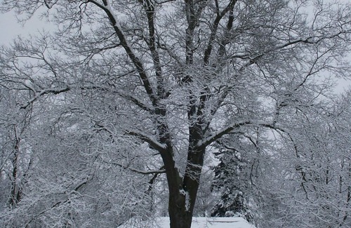 Zapel Apartment | Old forester's lodge in a fantastic location in the middle of the forest