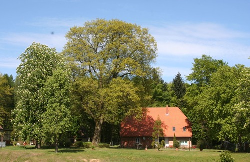 Zapel Apartment | Old forester's lodge in a fantastic location in the middle of the forest