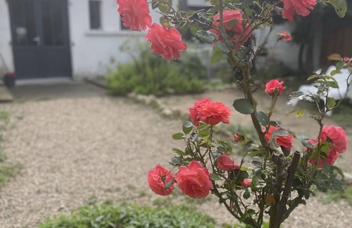 Royan House | Old restored wine storehouse between sea and forest