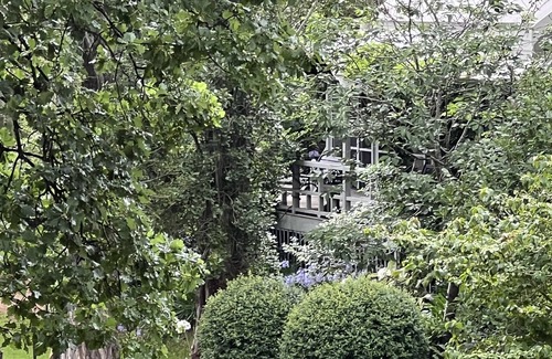 Tilba Tilba Apartment | Olive Tree cottage