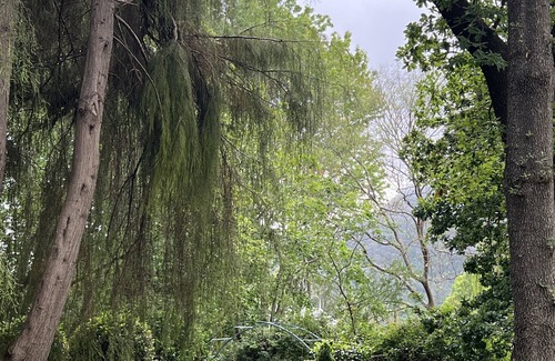 Tilba Tilba Apartment | Olive Tree cottage