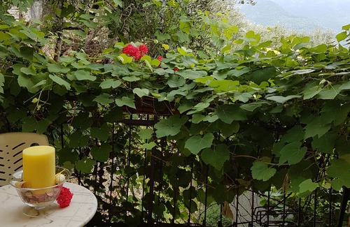 Lucinasco House | OLIVE TREES APARTMENT LARGE TERRACE CITR:008033-AGR-0001 CIN IT008033B5JCTY5SHI