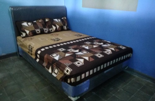 Kalipuro House | Olivia Homestay