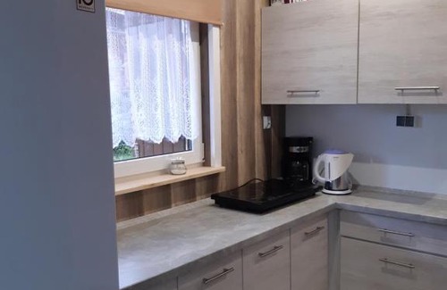 Czarna Cabin | Olszanka