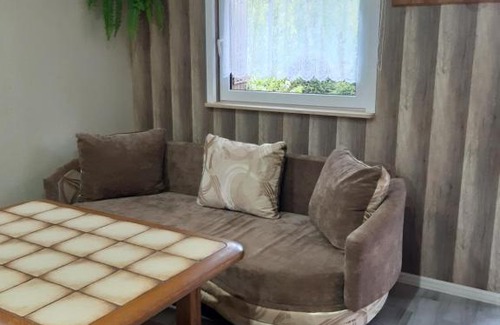 Czarna Cabin | Olszanka