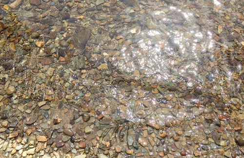 Lee Cottage | On Silver Lake, Excellent ATV Heaven, Hunting, Fishing, Swimming, Boating