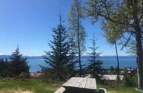 Homer Cabin | One of Homer's Best Views - Cabin #2 (Family friendly)