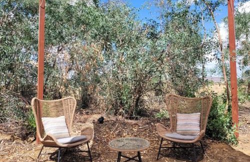 Joshua Tree House | One-of-kind Airstream for Your Desert Getaway!