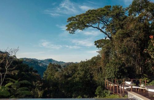 Gisakura Cabin | One&Only Nyungwe House