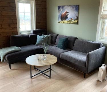 Oppdal Apartment | Oppdal Alpintun