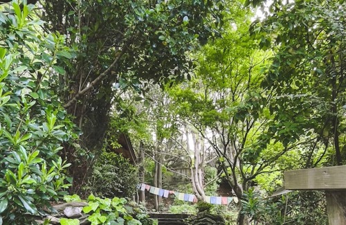 Sunshine Bay House | Ora° Retreat Tui Cabin Cozy Forest Escape