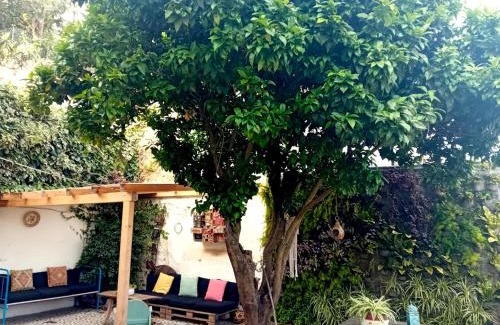 Socorro Apartment | Orange Tree House