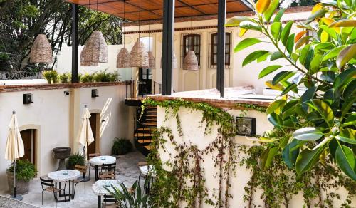 Santa Catarina Bed & Breakfast | Orchid House Coyoacan