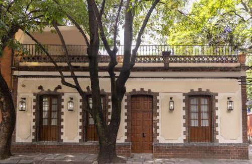 Santa Catarina Bed & Breakfast | Orchid House Coyoacan