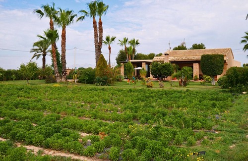 Elche Ski Chalet | Organic farm, with herbs, vegetables ,fruits trees etc and pool