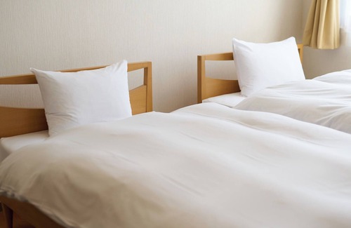 Toyama Hotel | Owara View Hotel