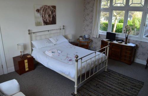 Redruth House | Owl House