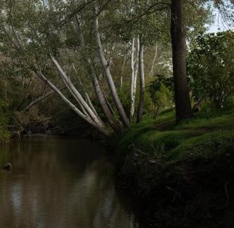 Mogoro House | Pala Cerbu